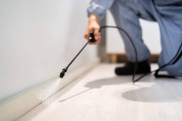 Licensed Pest Control service in Terry, MS - Nex Pest Control