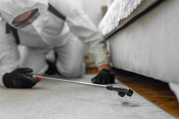 Professional Pest Control technician working in Terry, MS