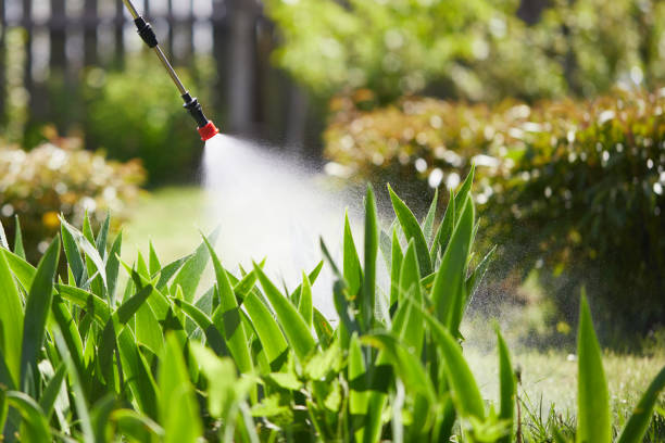 24/7 Emergency Pest Control experts in Terry, MS