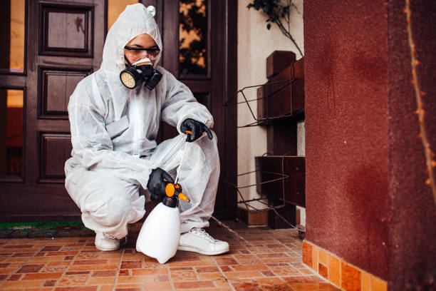 Reliable Pest Control contractor in Terry, MS by Nex Pest Control