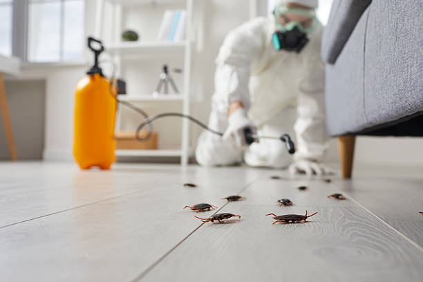 Affordable Pest Control solutions in Terry, MS