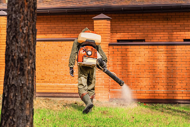 Top rated local Pest Control specialists in Terry, MS